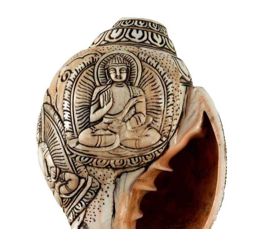 Conque Tibétaine Bouddhiste Shanka – Coquillage Sacré Artisanal du Népal