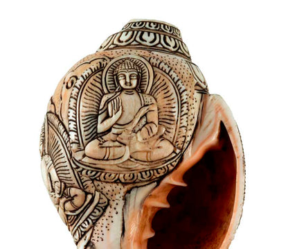 Conque Tibétaine Bouddhiste Shanka – Coquillage Sacré Artisanal du Népal