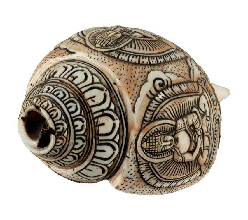 Conque Tibétaine Bouddhiste Shanka – Coquillage Sacré Artisanal du Népal