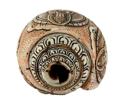 Conque Tibétaine Bouddhiste Shanka – Coquillage Sacré Artisanal du Népal