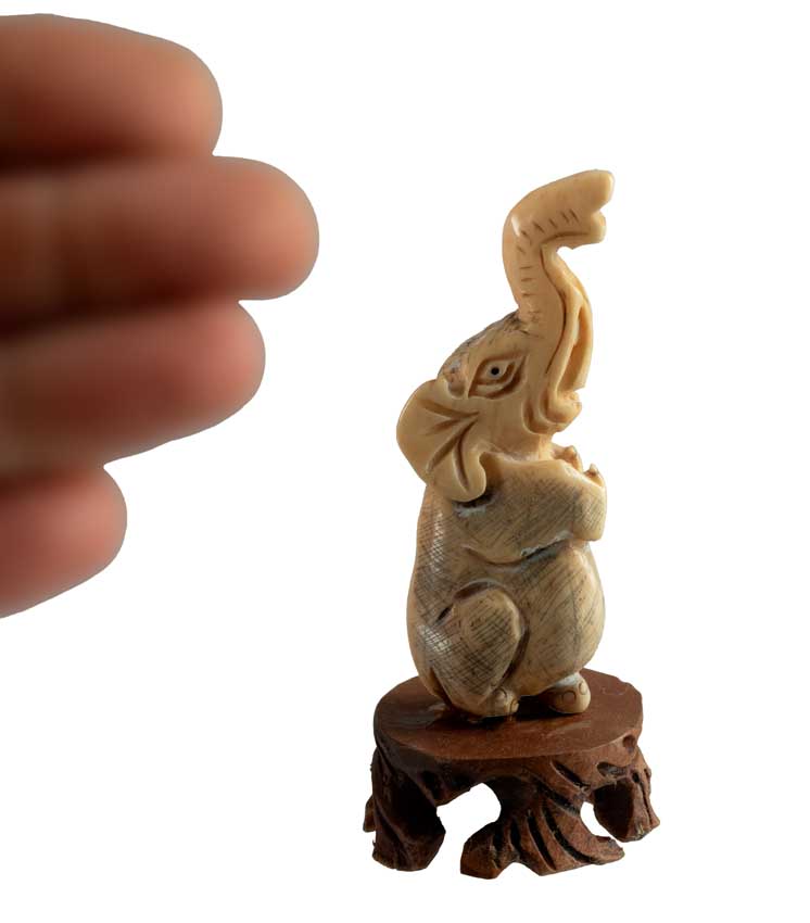 Netsuke Éléphant en Os de Bovin – Trompe Levée, Artisanat Chinois