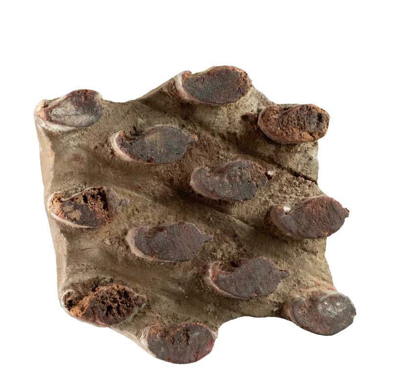 Ancien Tampon Batik Indien En Bois – Motif Feuille