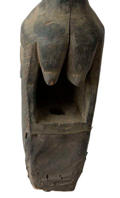 Dhodro Banam Vièle Anthropomorphe Sarangi du Népal