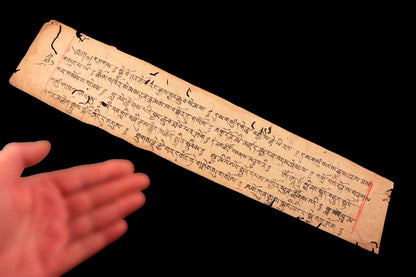 Ancienne Page de Prières Tibétaines Manuscrite – Sanskrit Outchen sur Papier Oriental