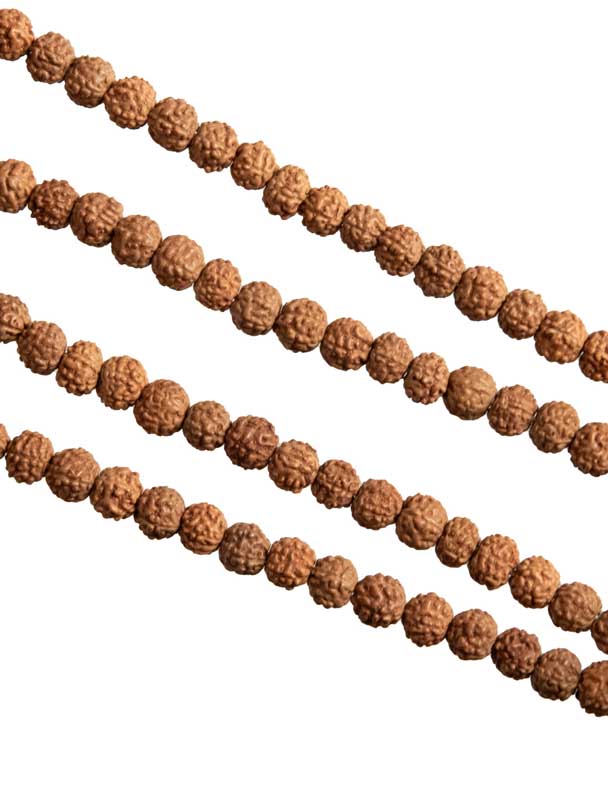Rudraksha Mala En Graines 5 Mukhi – Chapelet De Méditation Du Népal