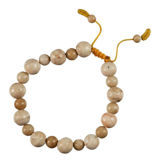 Bracelet coquillage du Népal – bracelet mala ethnique en coquillage fossilisé artisanal