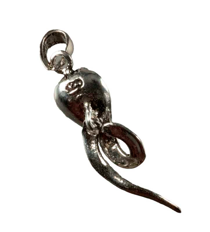 Pendentif Serpent Cobra en Argent Massif 925 – Bijou Ethnique et Symbolique