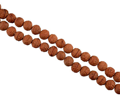 Mala Tibétain En Graines De Raktu – Chapelet Bouddhiste De Méditation