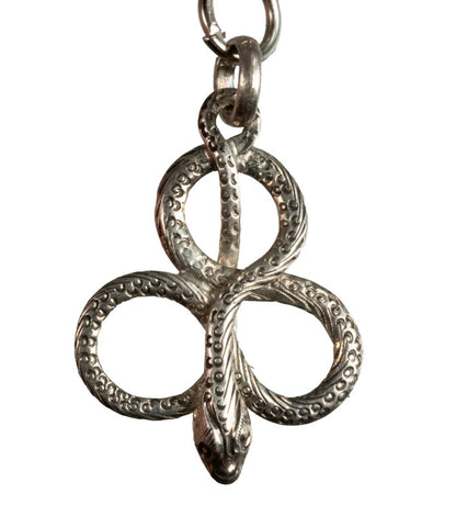 Porte-Clé Serpent en Métal Argenté – Symbole de Transformation