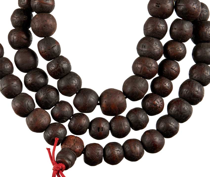 Mala Bodhi Authentique Du Népal – Chapelet De Méditation En Graines Naturelles