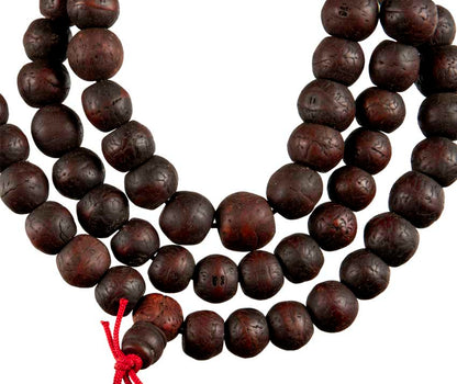 Mala Bodhi Authentique Du Népal – Chapelet De Méditation En Graines Naturelles