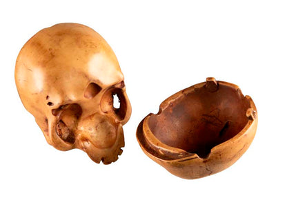Boîte Crâne En Résine – Boîte De Rangement Gothique Et Décorative