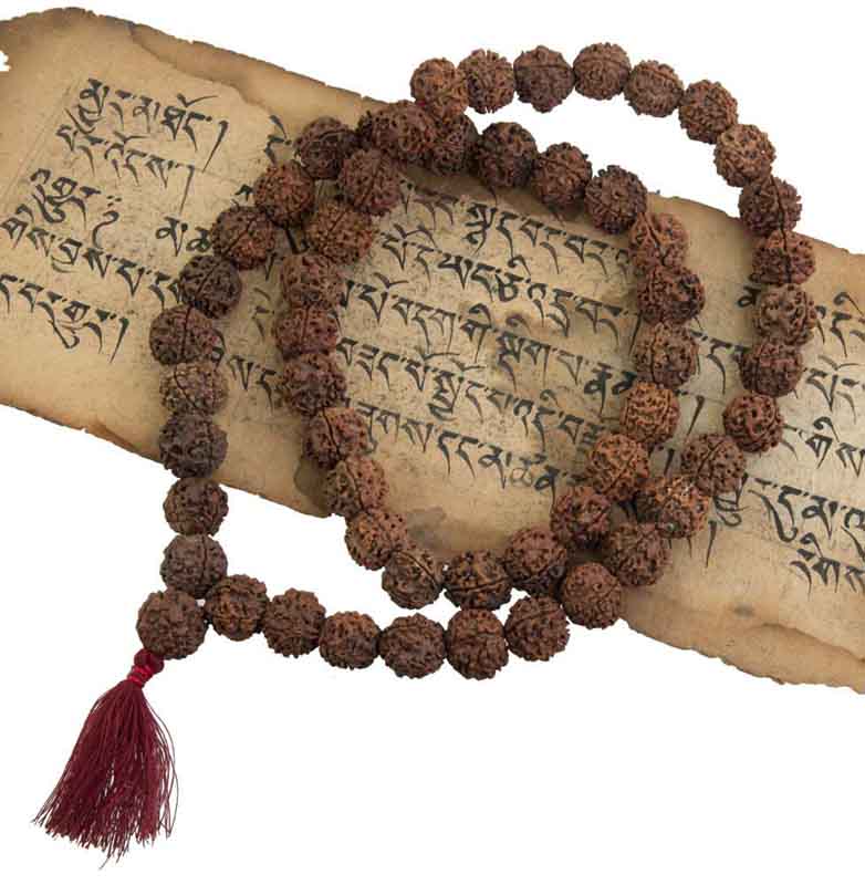 Collier Mala Népalais en Rudraksha Guru Khanta – 54 Perles