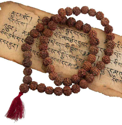 Collier Mala Népalais en Rudraksha Guru Khanta – 54 Perles