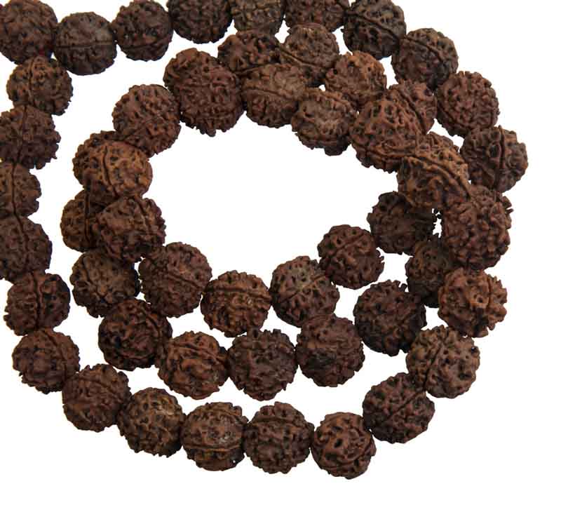 Collier Mala Népalais en Rudraksha Guru Khanta – 54 Perles