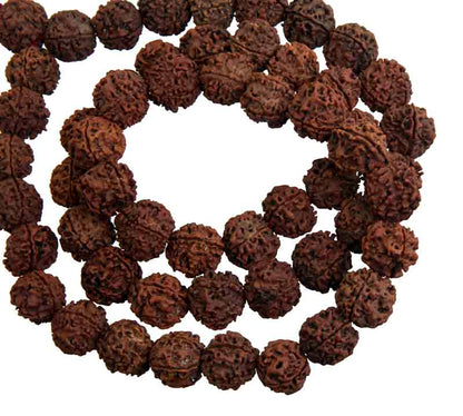 Collier Mala Népalais en Rudraksha Guru Khanta – 54 Perles