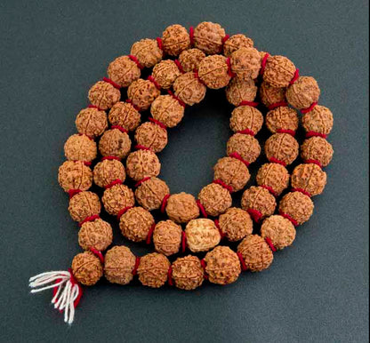 Collier Mala Népalais en Rudraksha Guru Khanta – 54 Perles 20/22 mm