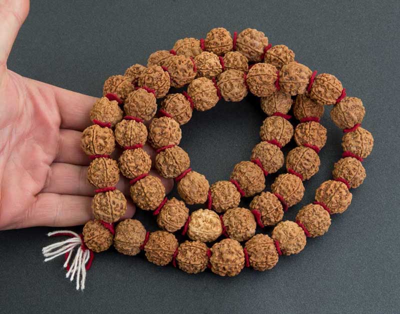 Collier Mala Népalais en Rudraksha Guru Khanta – 54 Perles 20/22 mm