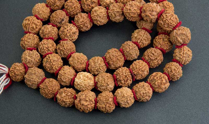 Collier Mala Népalais en Rudraksha Guru Khanta – 54 Perles 20/22 mm