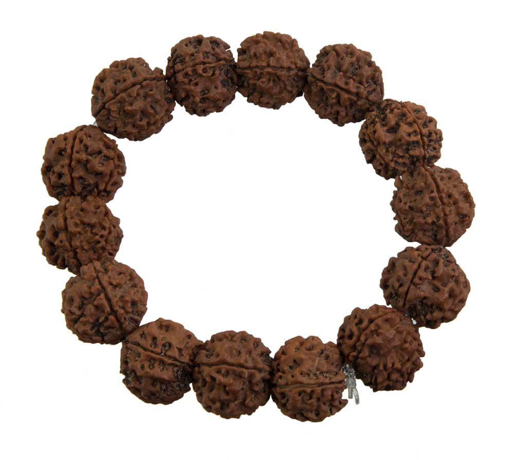 Bracelet népalais en rudraksha – bracelet de yogi en graines sacrées de Shiva