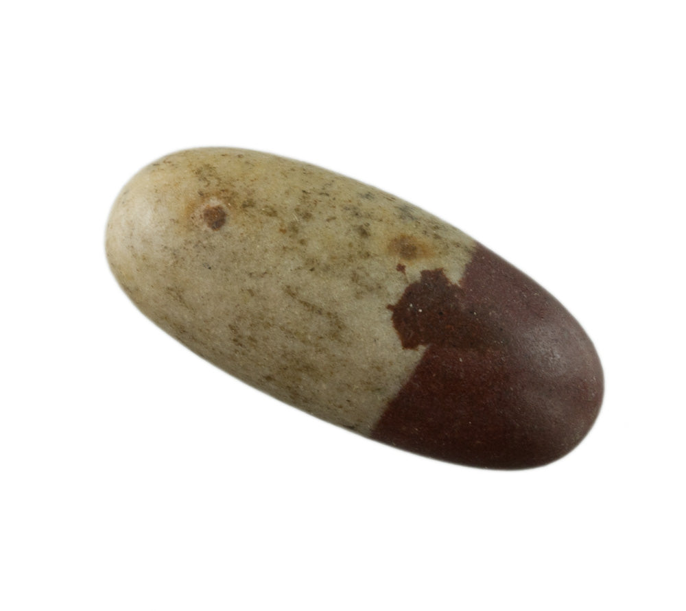 Shiva Lingam Narmadeshwar – Pierre Sacrée De La Rivière Narmada