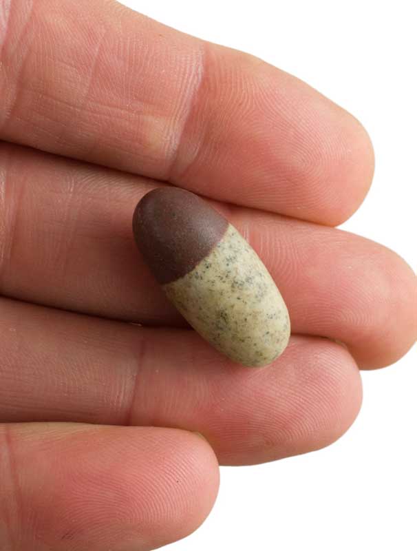 Shiva Lingam Narmadeshwar – Pierre Sacrée De La Rivière Narmada