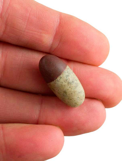 Shiva Lingam Narmadeshwar – Pierre Sacrée De La Rivière Narmada