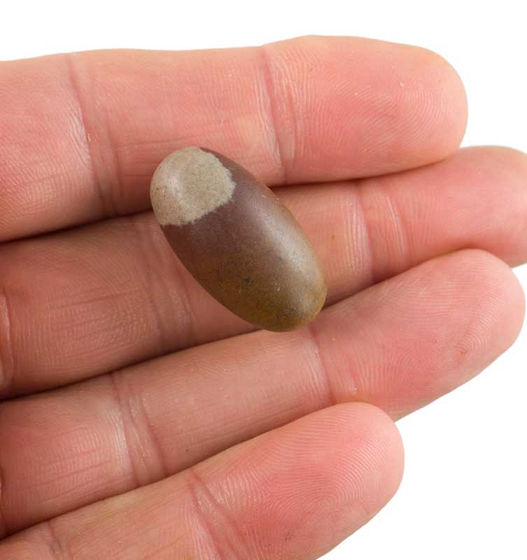 Shiva Lingam Narmada – Pierre Sacrée Et Énergie Positive