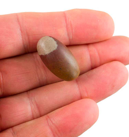 Shiva Lingam Narmada – Pierre Sacrée Et Énergie Positive