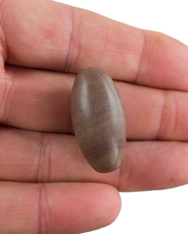 Banalingam Shiva Lingam – Pierre Sacrée Œuf Cosmique De La Narmada