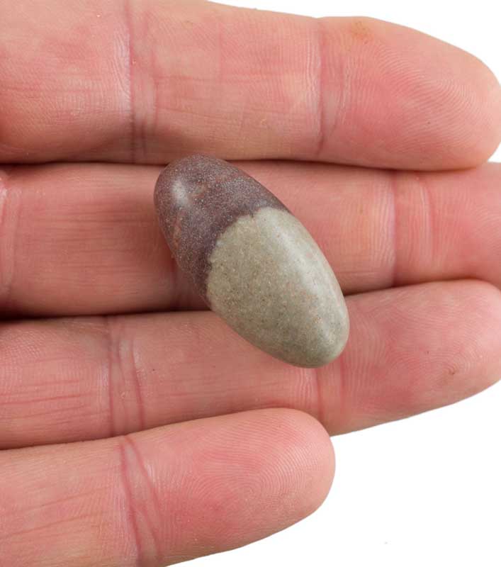 Galet Shiva Lingam – Pierre Sacrée De L’Inde
