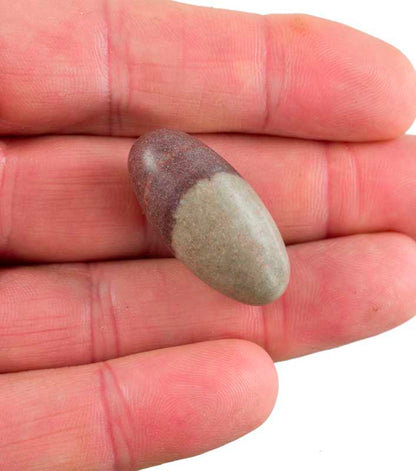 Galet Shiva Lingam – Pierre Sacrée De L’Inde