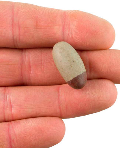 Shiva Lingam – Pierre Naturelle Sacrée De La Rivière Narmada