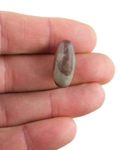 Shiva Lingam Banalinga – Pierre Sacrée De L’Inde