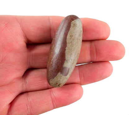 Œuf De Shiva Lingam – Pierre Cosmique Sacrée De La Narmada