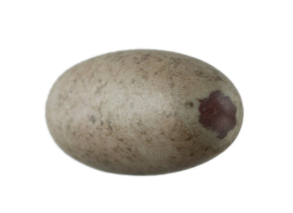 Pierre Roulée Shiva Lingam – Méditation Et Spiritualité
