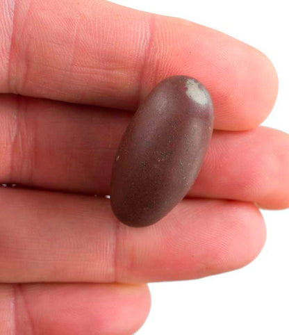 Shiva Lingam – Pierre Spirituelle Sacrée de la Rivière Narmada