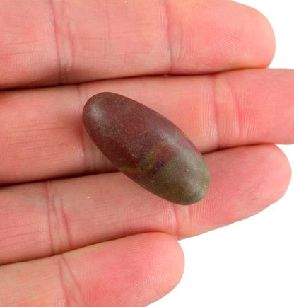 Pierre Shiva Lingam – Narmada Banalinga Inde