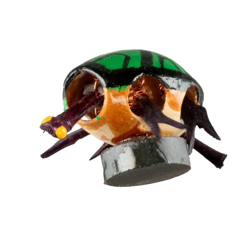 Animal Magnet Tortue en Coque de Pistache