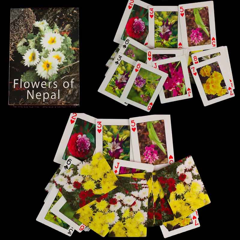 Jeu de 56 Cartes à Jouer – Les Fleurs de l'Himalaya du Népal