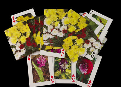 Jeu de 56 Cartes à Jouer – Les Fleurs de l'Himalaya du Népal