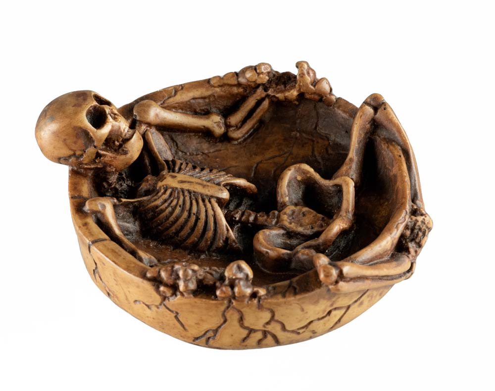 Cendrier Tête De Mort Squelette En Résine – Décoration Gothique Artisanale Du Népal