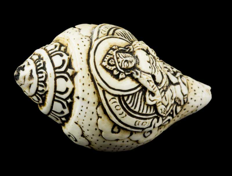 Conque Bouddhiste Tibétaine Jambhala Shanka Dungkar – Ornement Spirituel en Coquillage du Népal