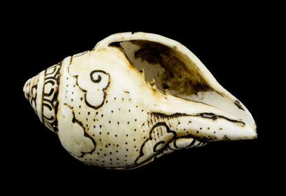 Conque Bouddhiste Tibétaine Jambhala Shanka Dungkar – Ornement Spirituel en Coquillage du Népal