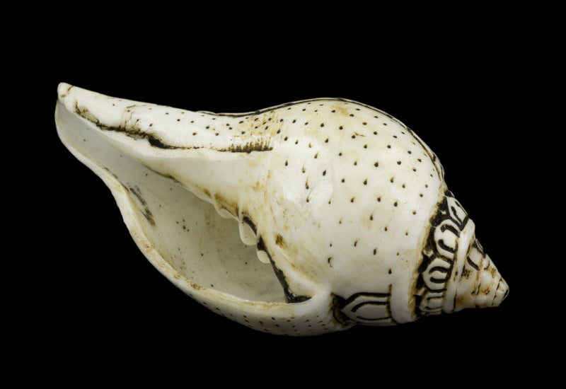 Conque Bouddhiste Tibétaine Dakini Shanka Dungkar – Ornement Spirituel en Coquillage du Népal