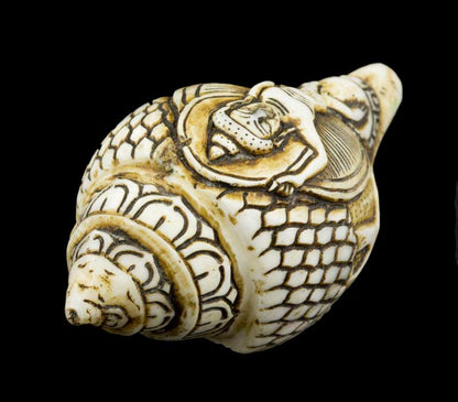 Conque Bouddhiste Tibétaine Bouddha Dansant Shanka Dungkar – Ornement Spirituel en Coquillage du Népal