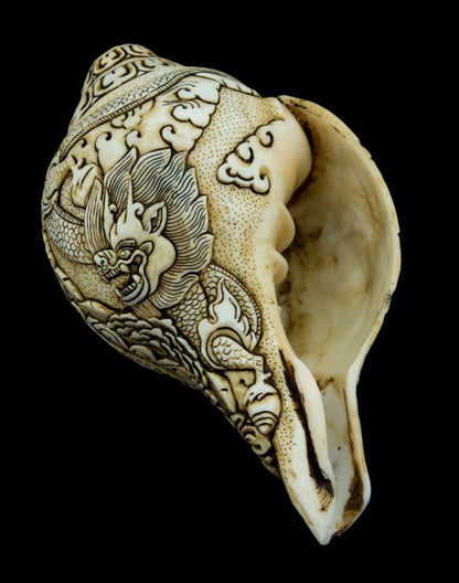 Conque Bouddhiste Tibétaine Avalokiteshvara Shanka – Coquillage Sculpté Artisanal du Népal