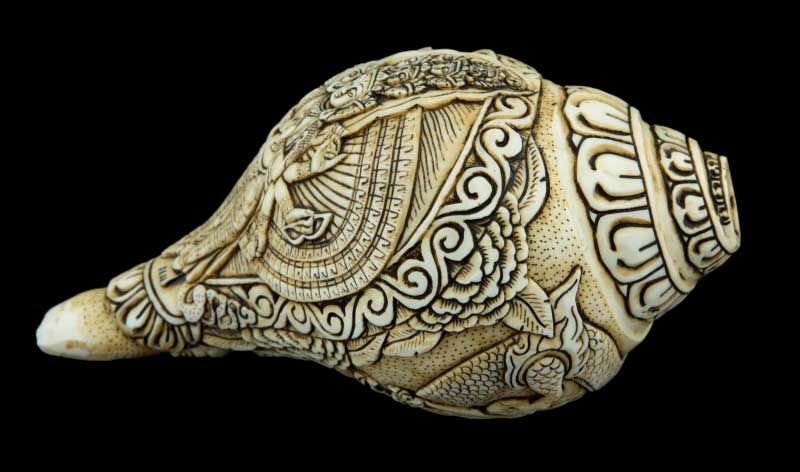 Conque Bouddhiste Tibétaine Avalokiteshvara Shanka – Coquillage Sculpté Artisanal du Népal
