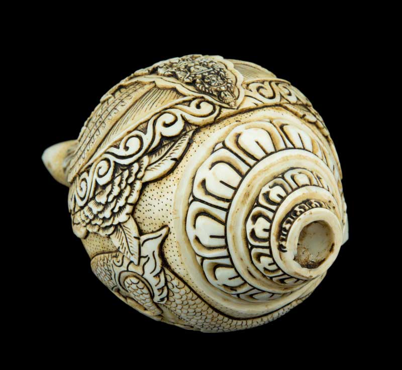 Conque Bouddhiste Tibétaine Avalokiteshvara Shanka – Coquillage Sculpté Artisanal du Népal