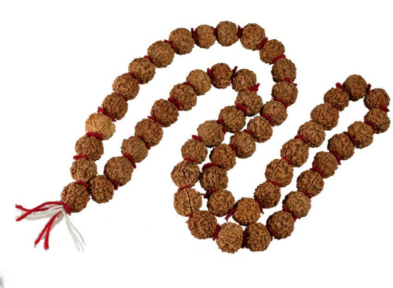 Collier Mala Népalais en Rudraksha Guru Khanta – 54 Perles 20/22 mm